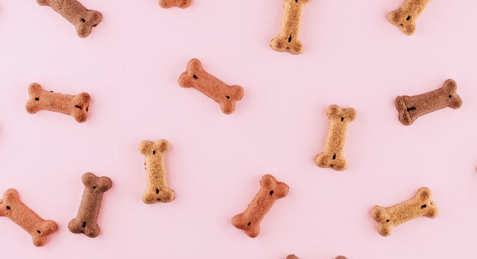 Pet CBD Treats: Do They Actually Work? - Leaf Remedys