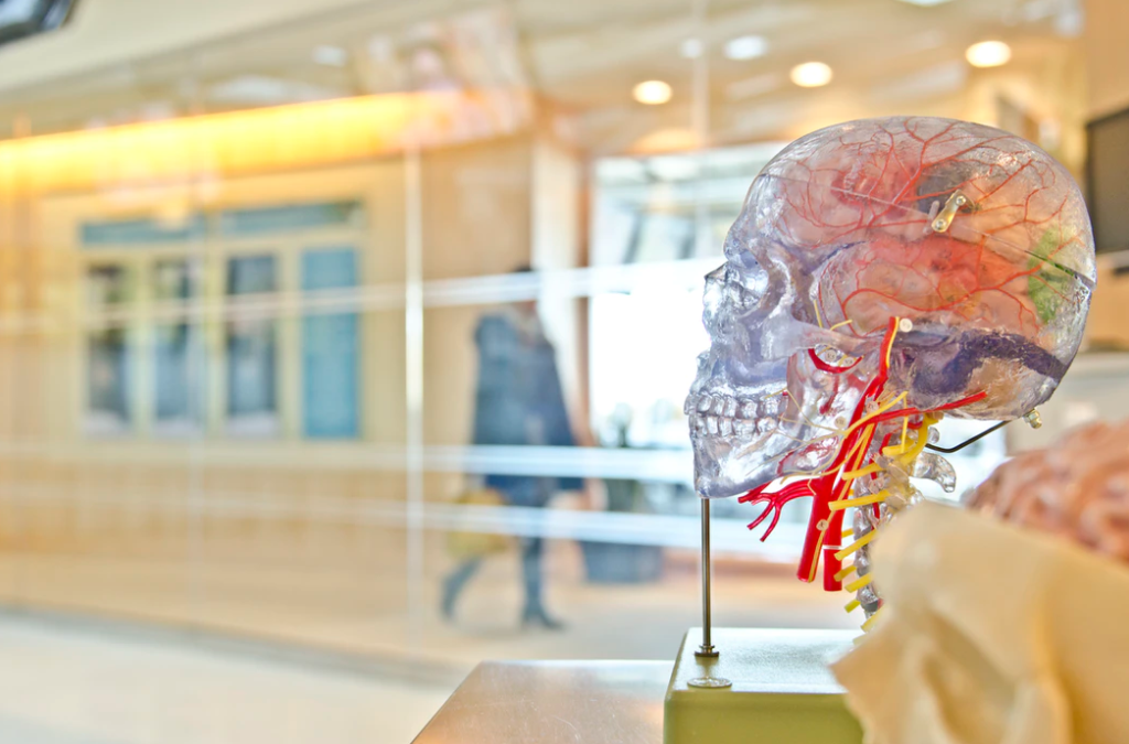 CBD for Epilepsy: How CBD Oil Helps Epilepsy - Leaf Remedys